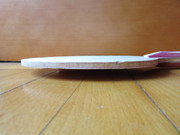 IMG-5558