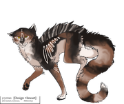 022-Tortoiseshell-Madness