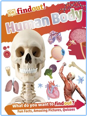 https://i.postimg.cc/dQ0DKxWX/fkncha7z65w0.png
