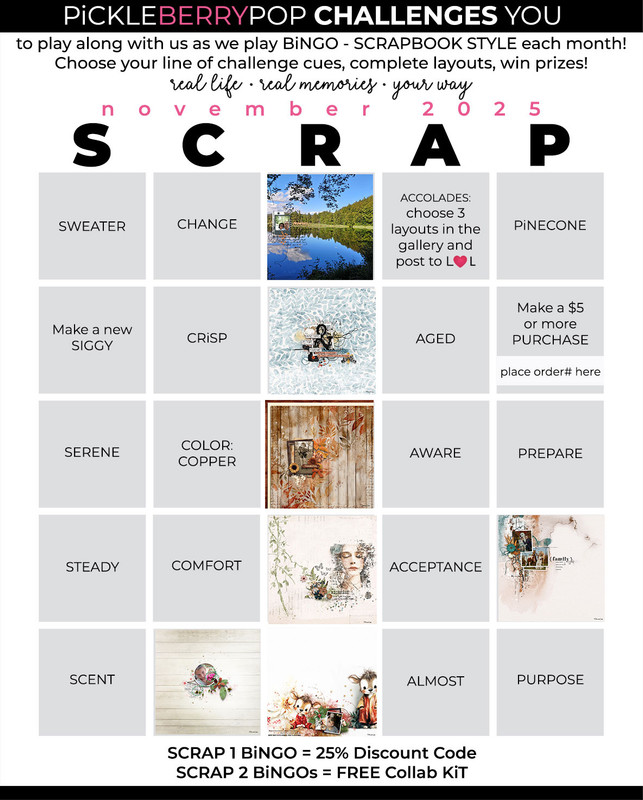 2025-11-pbp-scrapbook-bingo.jpg