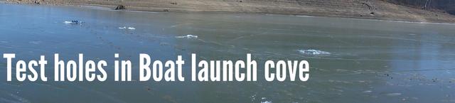 aviary-image-1517609577128