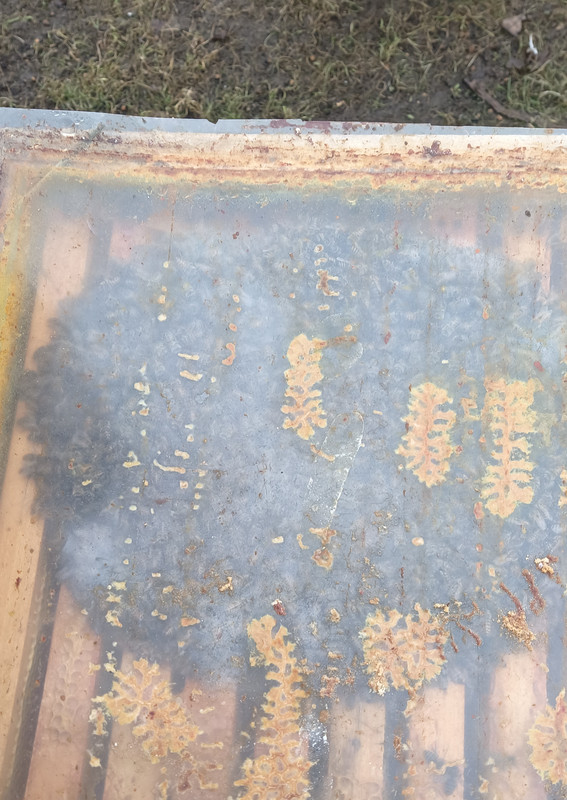 [Obrázky: Vcely-260128.jpg]