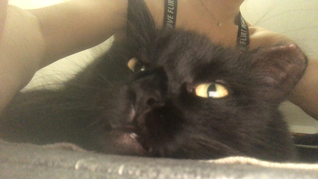 IMG-83caf99c4c6827bfc1f90a74ff8432fd-V