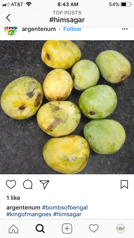 2C6BC06C-BD1A-4A75-84CD-5391F228EC1A