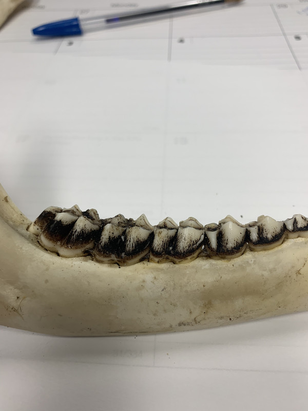 14388764-5E5A-43A8-8C38-9277A9655BED