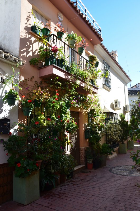 ESTEPONA-9-3-2017 - Málaga y sus pueblos-2009/2017 (193)