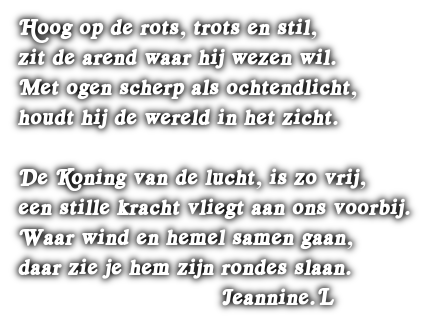 cooltext496981428794759