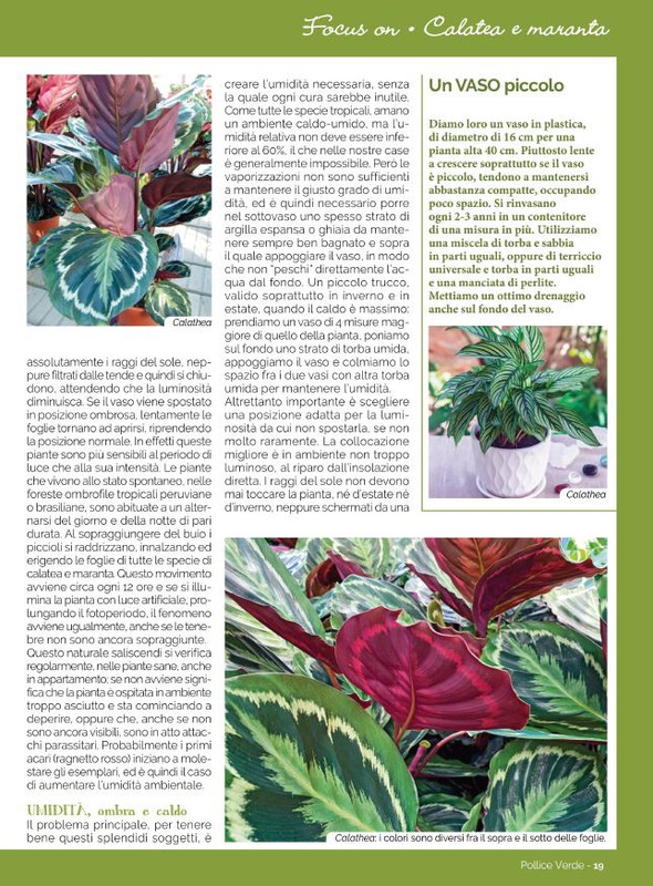 Pol Ver Ott 2022 (2)