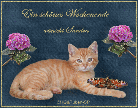 An den Beitrag angehängtes Bild: https://i.postimg.cc/dQ44pMJr/som1c.gif