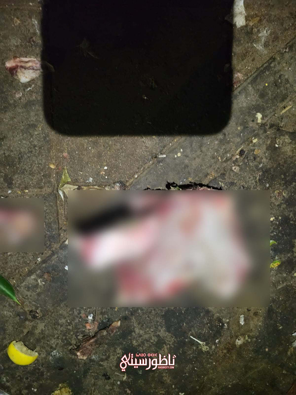 WhatsApp Image 2024-08-27 at 23.27.57 (2)