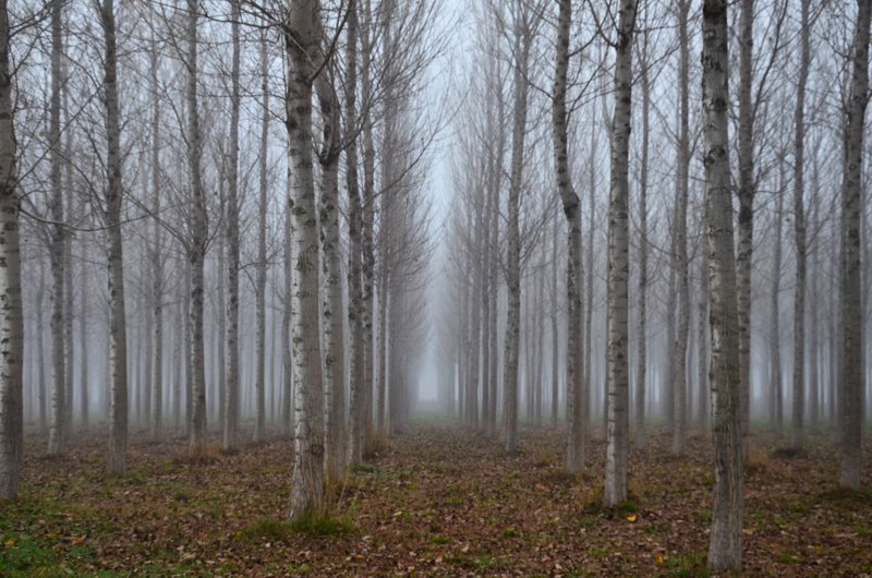 Navarra y sus pueblos-2015 - Blogs de España - Las Bárdenas Reales-15-11-2015 (90)