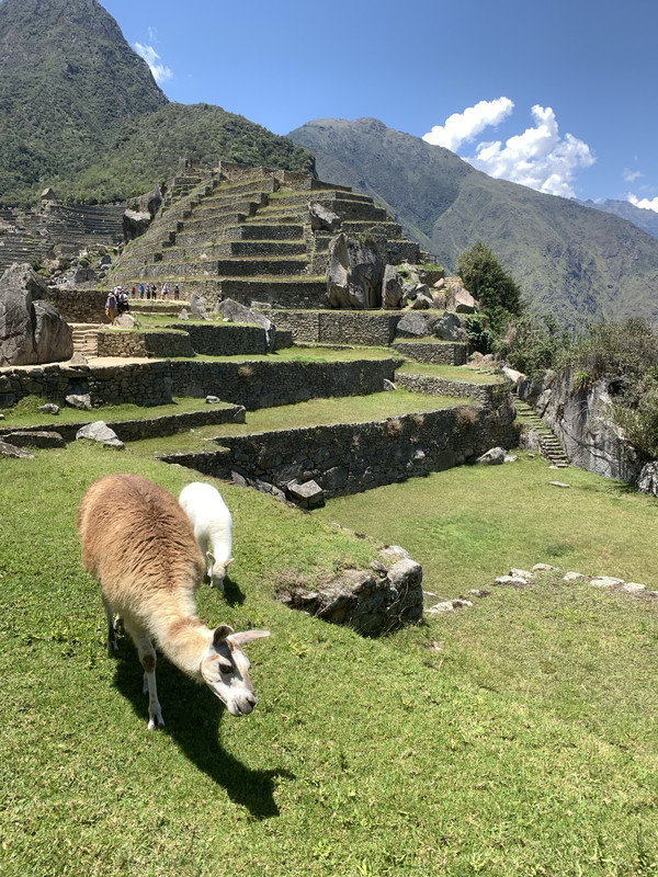 A63BA4F3-DBA9-4236-9319-B2FEA5DAEE7A