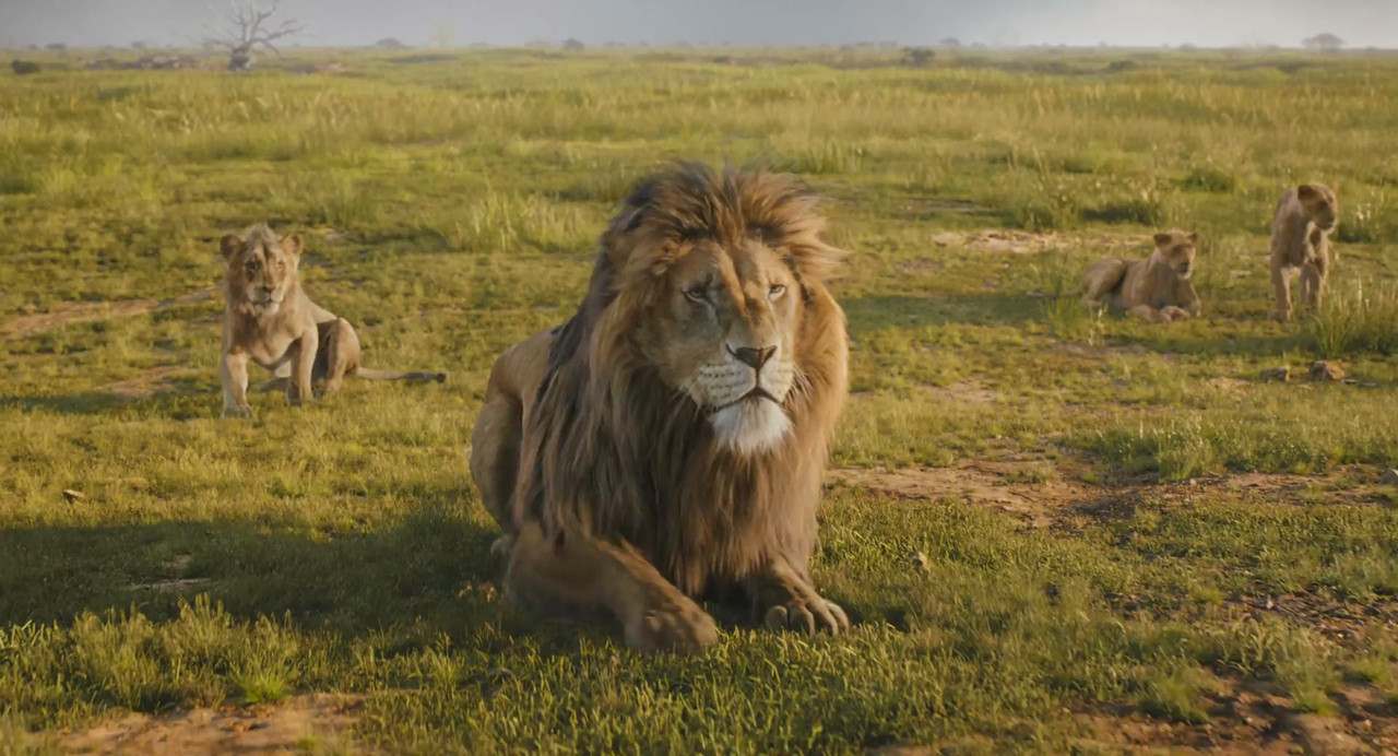 Mufasa: The Lion King 2024 BluRay [Hindi + Tamil + Telugu + English] 480p, 720p, 1080p ESub Screenshot