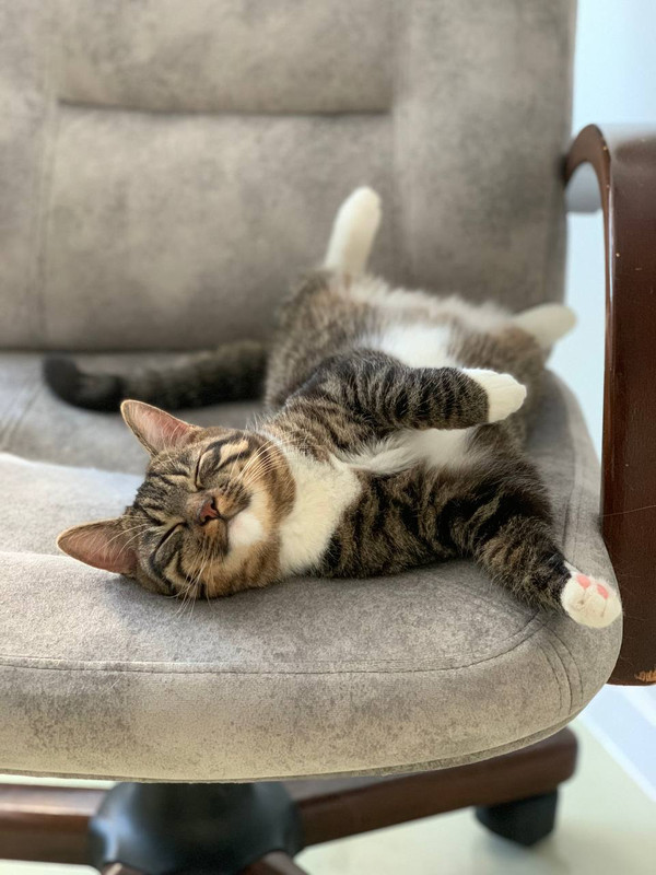 FDF4FBF6-0BA8-4F0A-AE3D-DFB04264BDA5