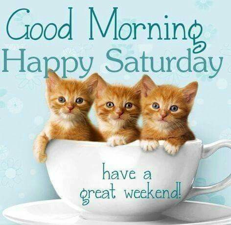 Good Morning, Good Afternoon, Good Evening, Good Night, Good Day! (#2)