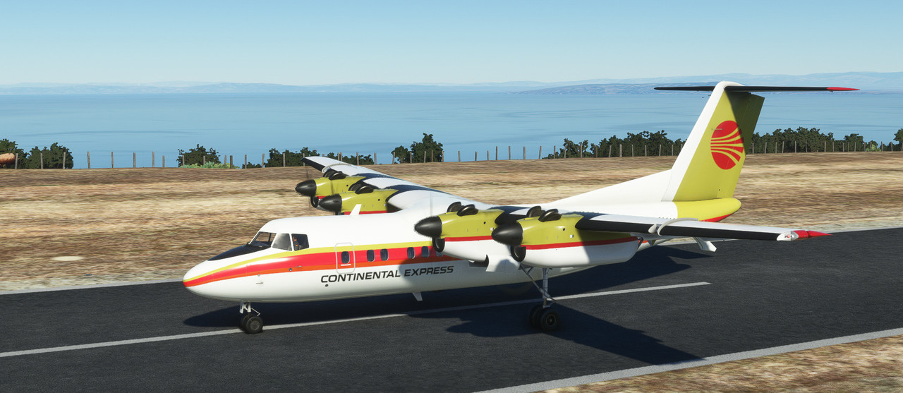 Dash-7-1.jpg