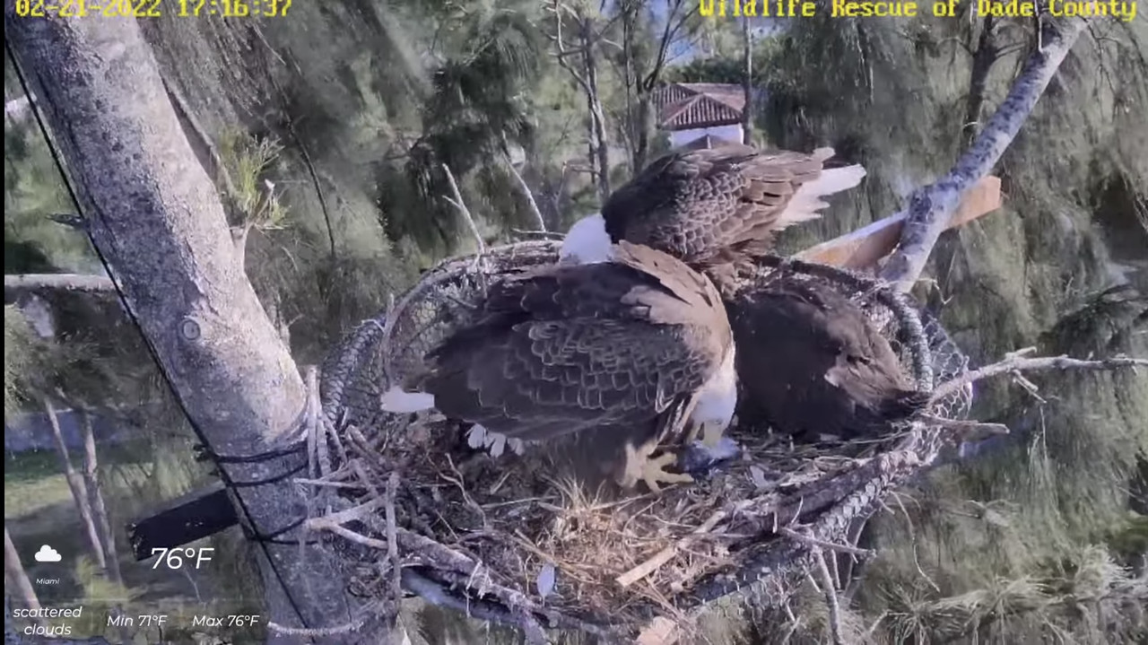 FE13039C-35D7-4611-8E3D-CF64F42F59DA