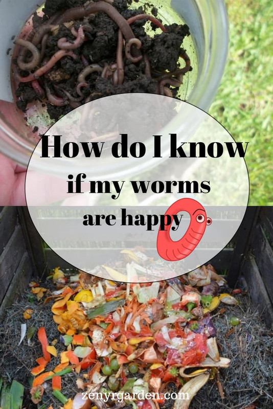 how-do-i-know-if-my-worms-are-happy-pin.jpg