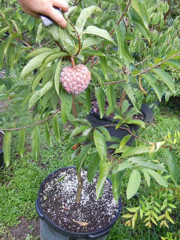 DSCN0897