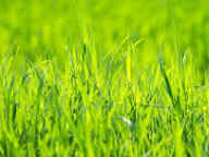 téléchargement (10)