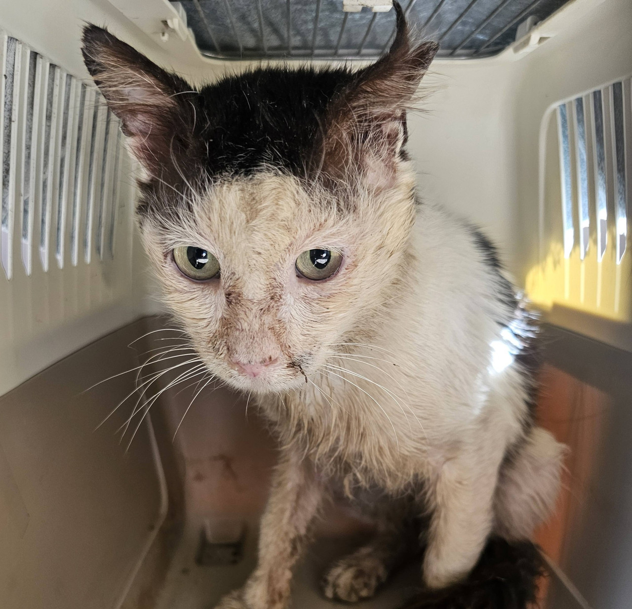 643428763 10233892969118911 3714949057185091521 n