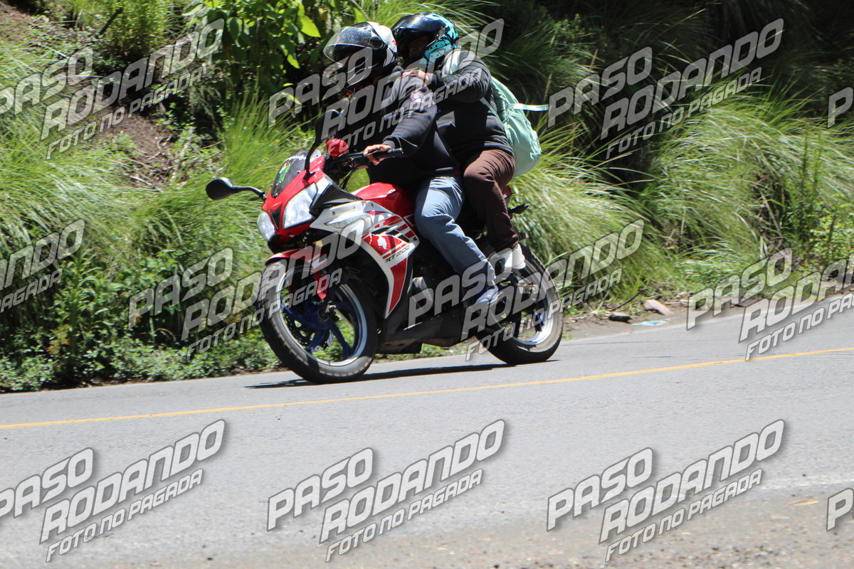 IMG 7148 wm 345062 3999999999 watermarked — Postimages