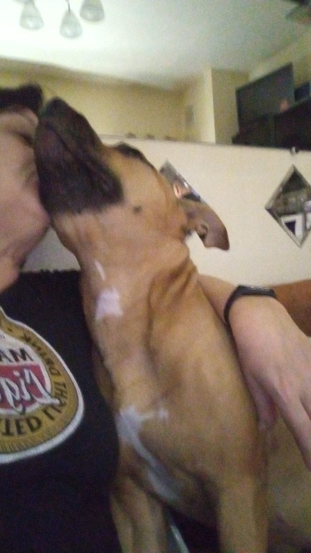 ECE02C29-C66B-40BB-928D-F892A33B8FB8