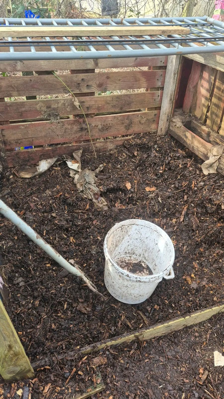 Phase 3: Rotted leaves ready for mixing