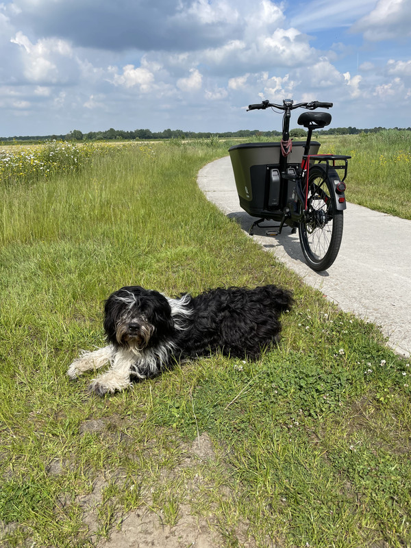 D70D32FE-AB10-4B26-9730-C4F19C5905A8