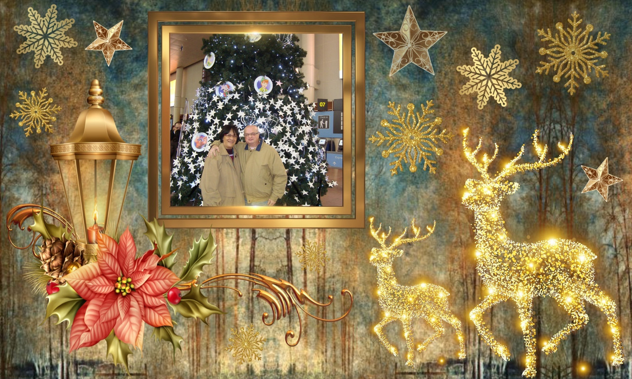 Image and video hosting by TinyPic