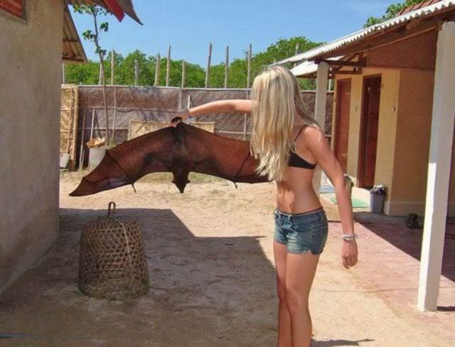 Australian-Batwith-Girl