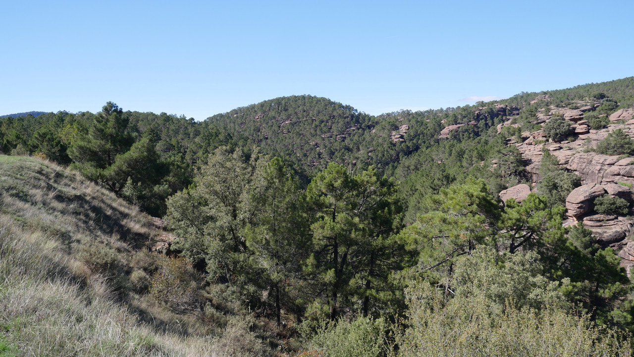 93EC51AE-FD5D-4AE7-9830-F5244B713608