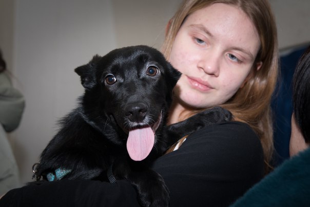 CCD3C320-1520-497D-BF81-3DD737A3DF23