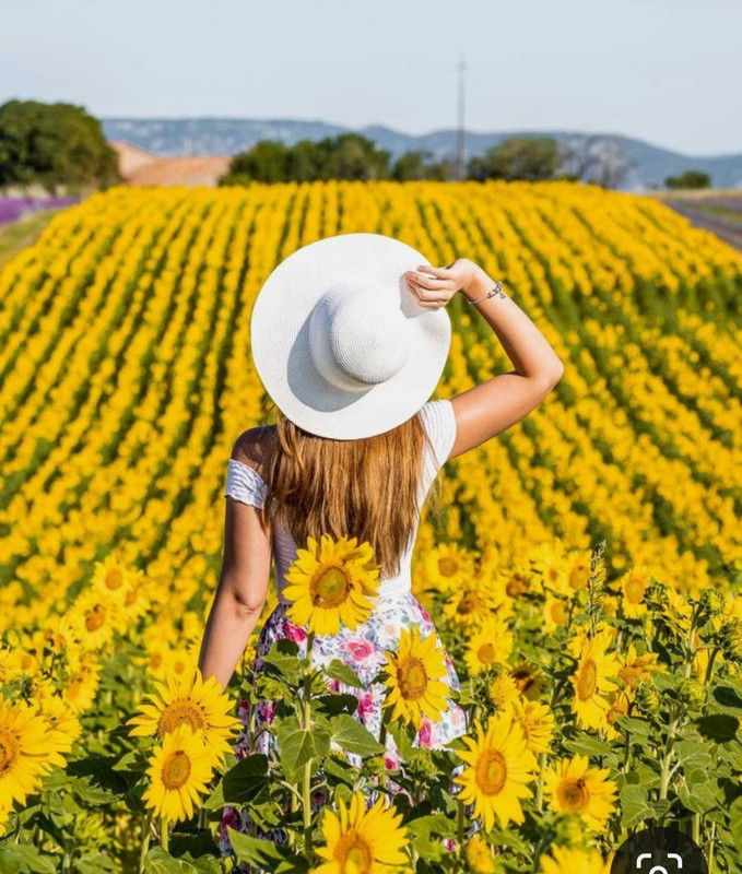 Screenshot_20230719_220900_Pinterest