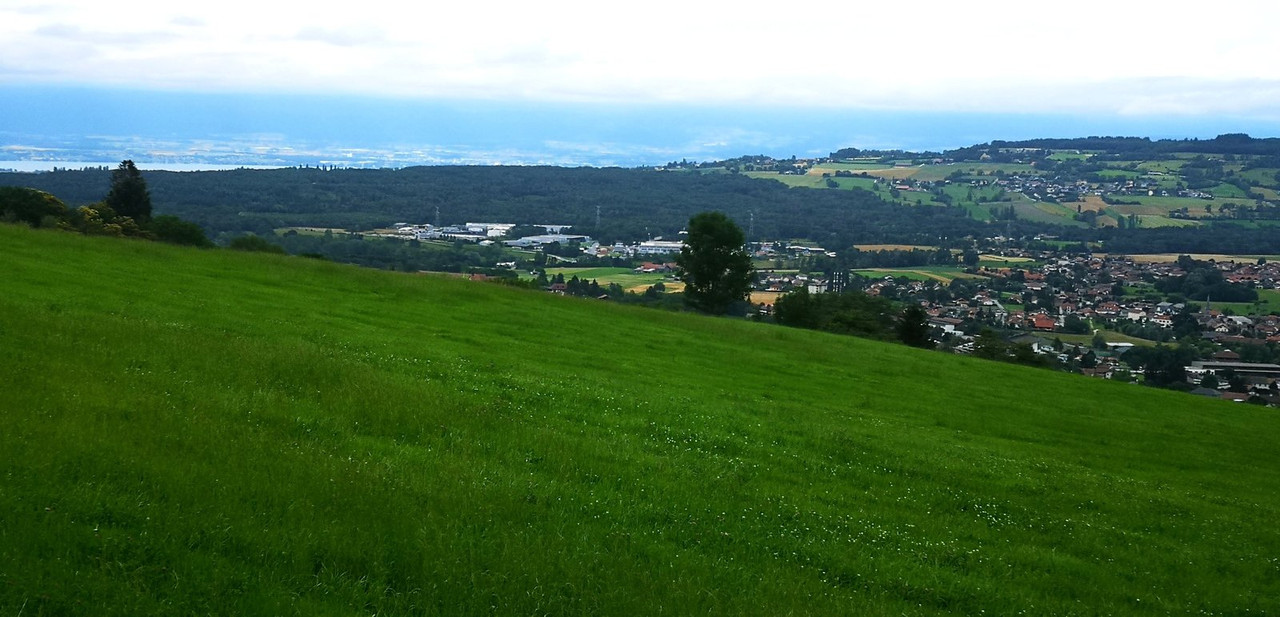 IMG_20240707_142405_edit_779894630471100