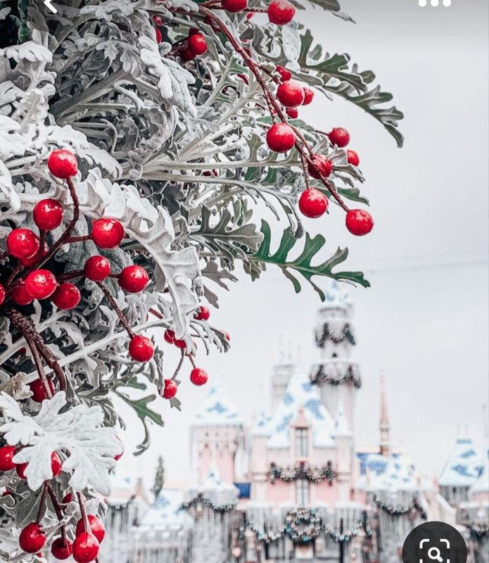 Screenshot_20230408_225102_Pinterest