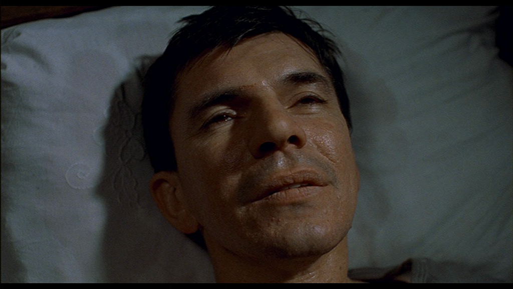 vlcsnap-2019-05-03-20h36m53s969