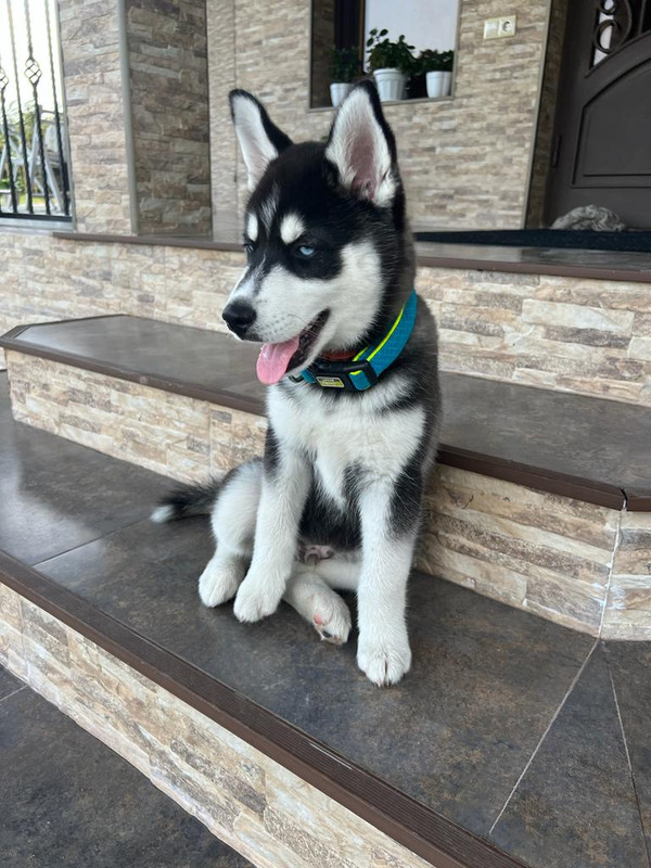 4C6101EB-9BE1-4579-A0E7-FC69518DDAA0