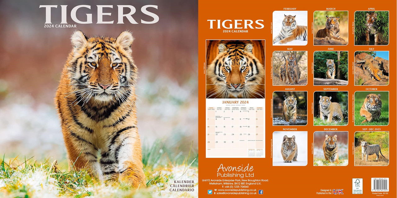 Tigers