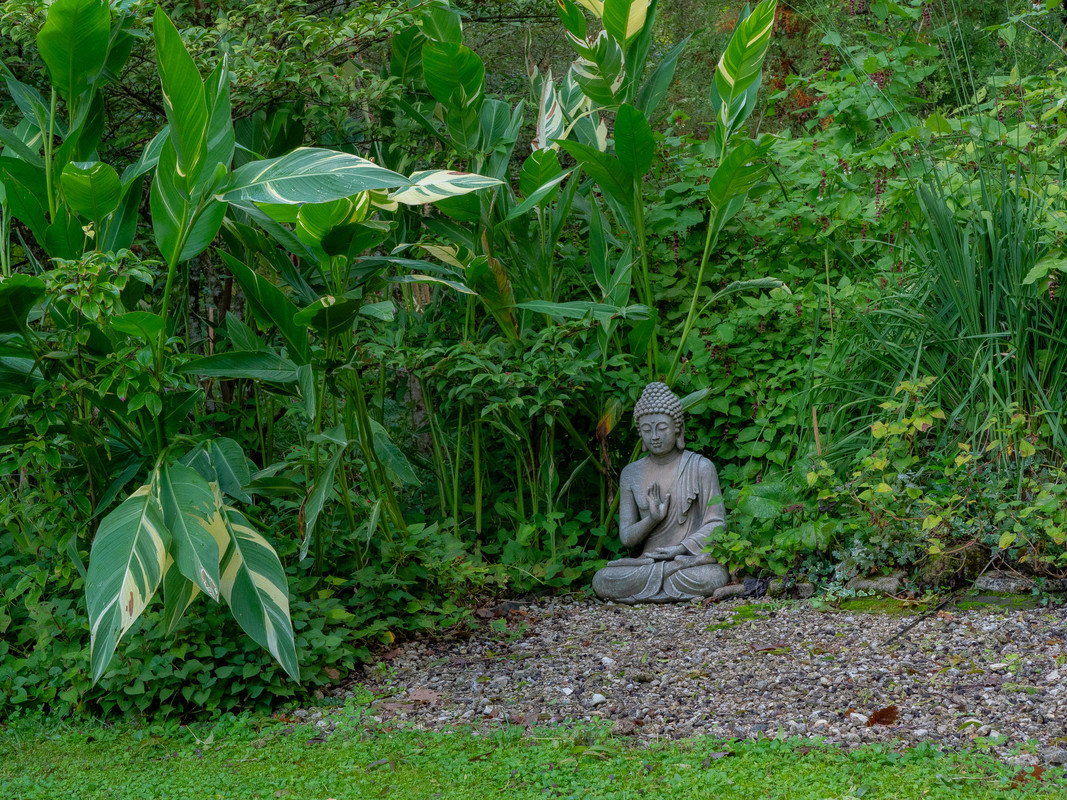 Bouddha clair