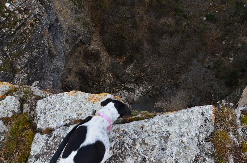 BARRANCO DEL RIO DULCE Y CASCADA DE GOLLORIO-2010/2019-GUADALAJARA - Paseando por España-1991/2015-Parte-1 (19)