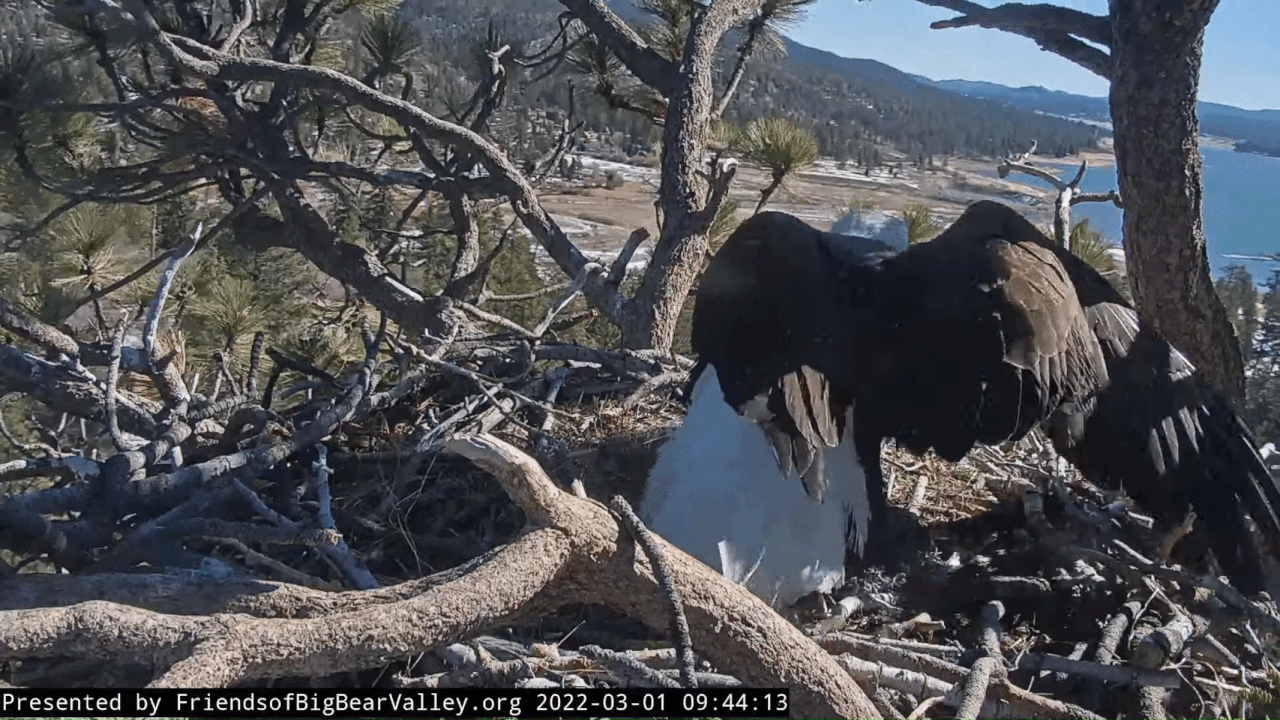 Webp.net-gifmaker (5)