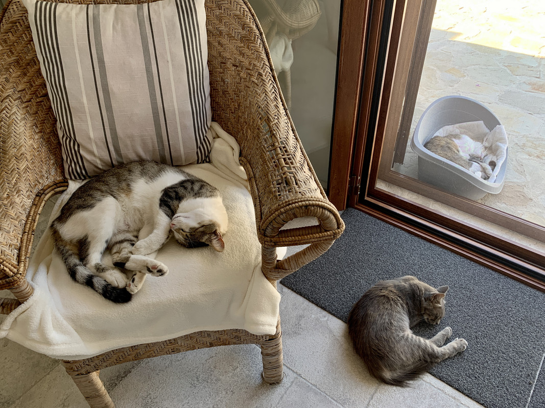 B32D4446-091D-4A3E-BECC-7A379B0D0A5A