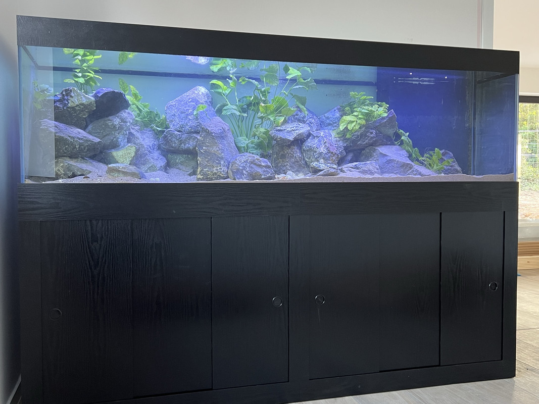 6720749F-BF92-4D8F-8ADD-D991DF0CF3EB