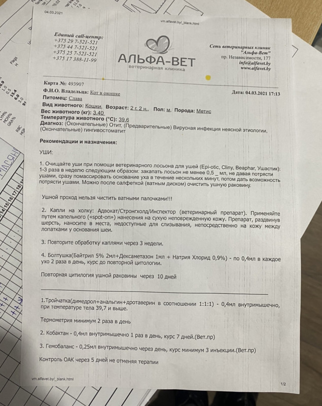 AD88C4C5-744B-40C8-8B29-A78B38F61E96