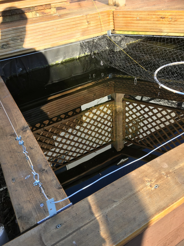 315F361C-D9A1-4298-B617-F55632E31D1F