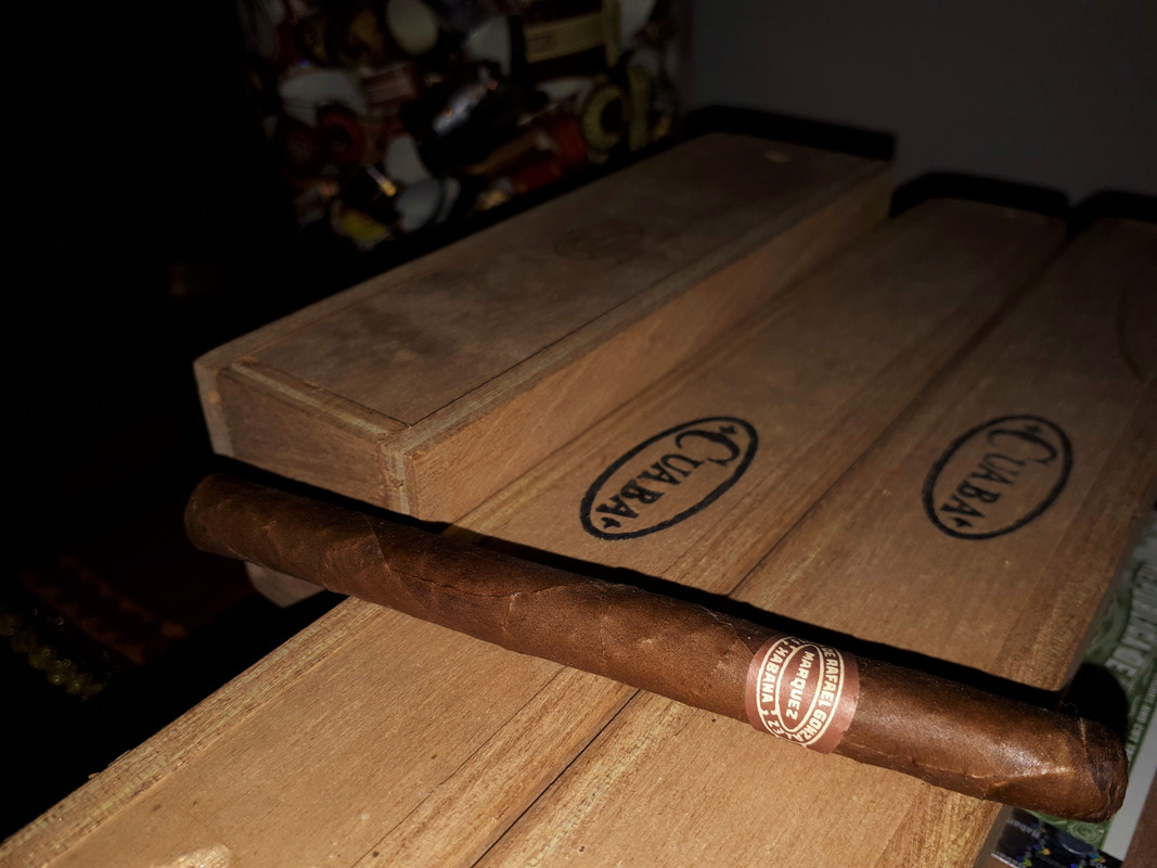 51678808064_a0600219eb_o