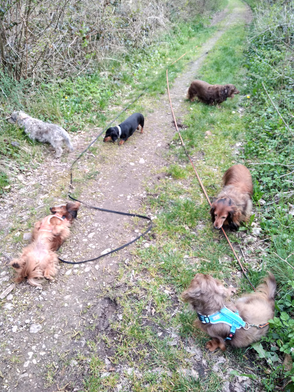 [Image: IMG-20230416-172516.jpg]