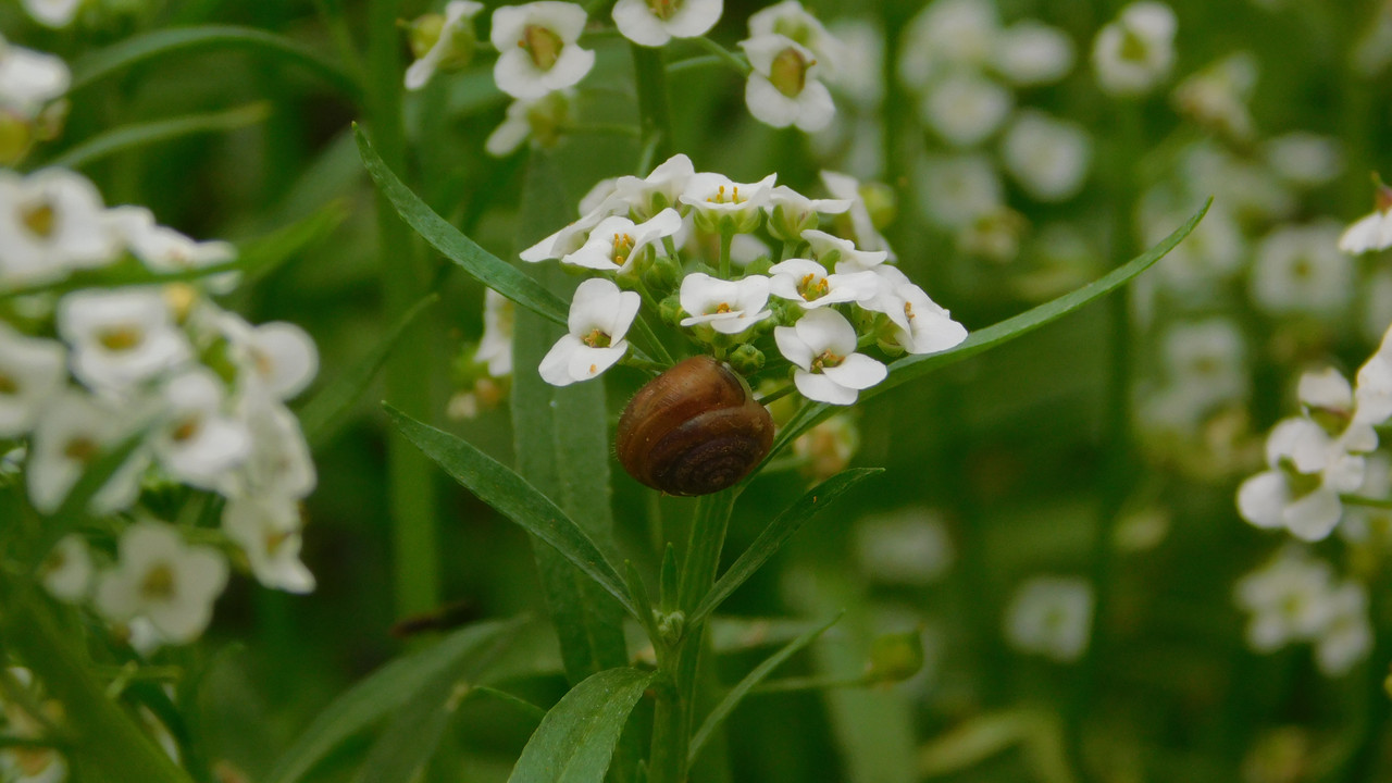 Дачное и  к Хелл сентябрь 2023 217