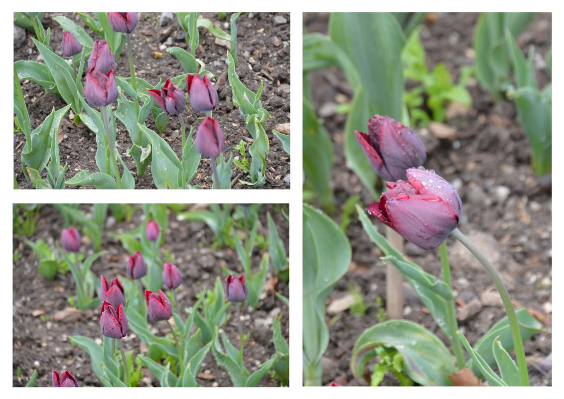 Новый коллаж.jpg 34